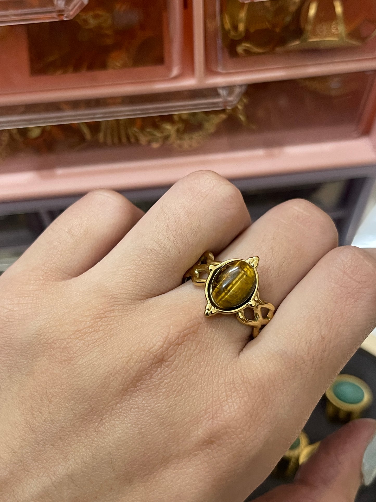 Stainless Steel Ring 267 (Brown)