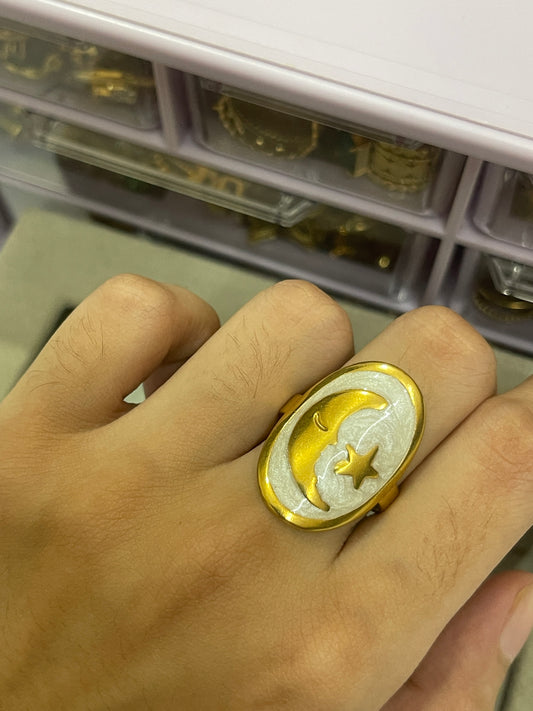 Stainless Steel Ring 002