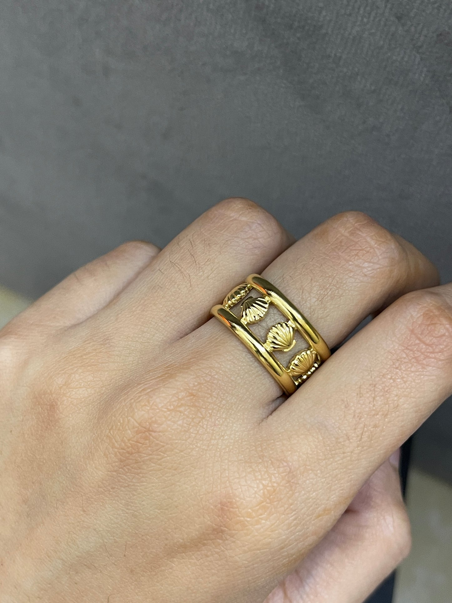 Stainless Steel Ring 301