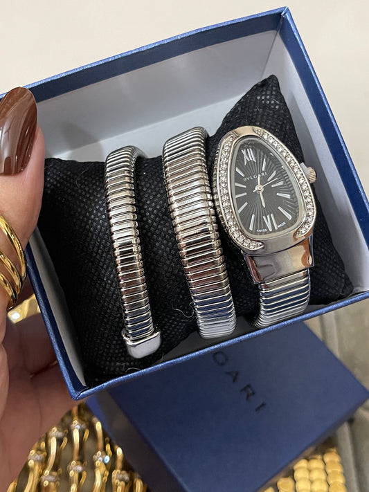 Stainless Steel Watch (Silver)