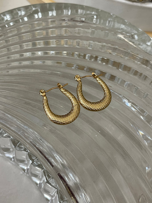 Evara Hoops