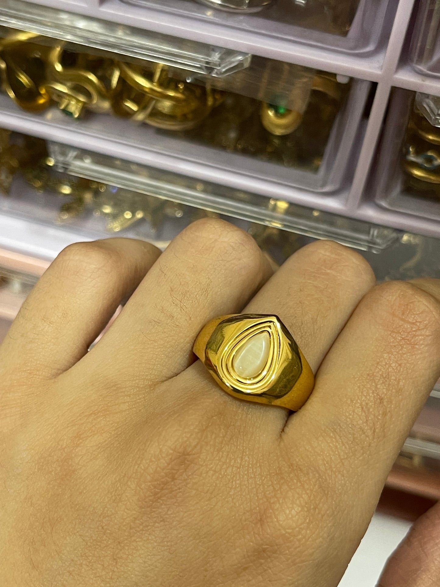 Stainless Steel Ring 231