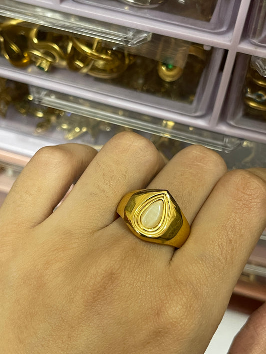 Stainless Steel Ring 231