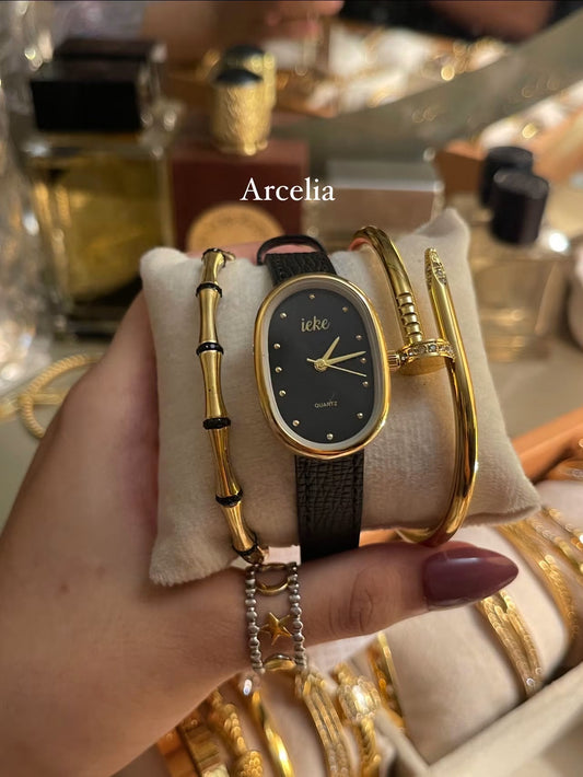 Premium watch combo