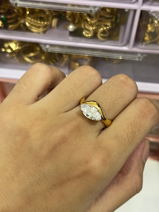Stainless Steel Ring 209